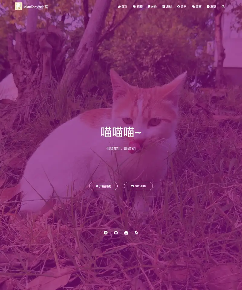 MiaoTony's Blog 首页截图