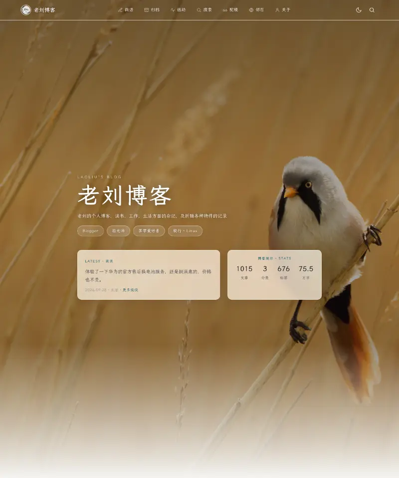 流金岁月 首页截图